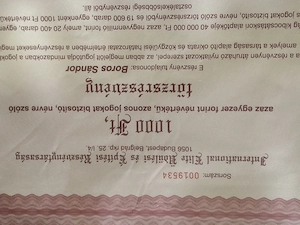Frutta Plus Kereskedelmi Rt . részvény, 1991 3000ft db óbuda személyesen óbudán posta kizárolag előr - kép 4