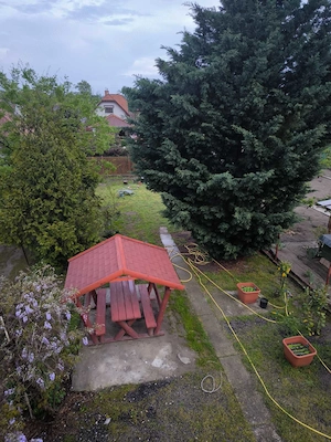 Titkárnőt keresek Apartmanház (Siófok) és kert kávézó (Újpest) és lakás hasznosítás szervezéséhez 