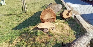 Kert rendezés, fakivágás akár szállítással..!  - kép 2