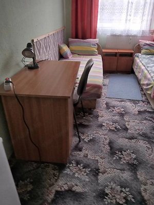 Csendes Főbérlős lakásban elsős diáklányhoz hétvégén hazajáró ugyan csak elsős Magyar lányt szobatár - kép 6