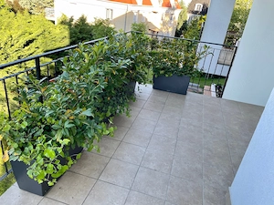 Sasadon Oltvány árok utcában igényes lakás eladó! - kép 2