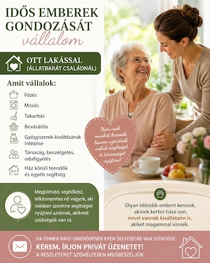 Munkát keresek idős ember mellé