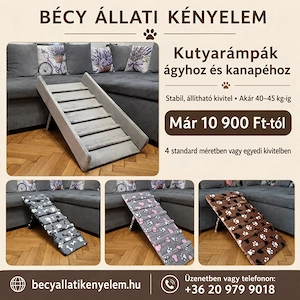 Kutyarámpa, kutya fellépő ágyhoz és kanapéhoz   több méretben