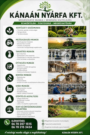 Nyíregyháza Arany jános út 5  Mátészalka Rózsafa út 3 Nyirmegye  Bajcsi zsilincki út 21  Kántorjános - kép 3