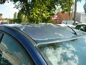 Ford focus 1.6   - kép 4