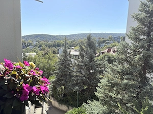 Eladó erkélyes lakás a Tulipán utcában - kép 6