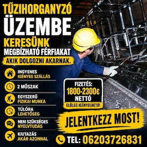   Tüzihorganyzo Nemetorszag     