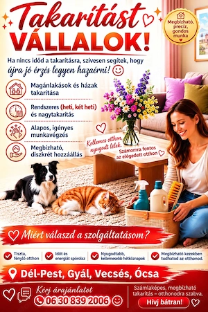 Takarítást vállalok   Dél-Pest, Gyál, Vecsés, Ócsa - kép 2
