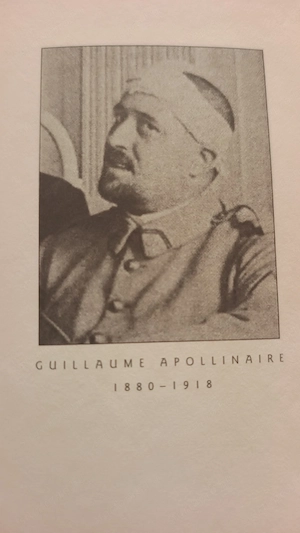 guillaume Apollinaire Tizenegyezer vessző  - kép 3