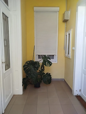 Győr-Belvárosban, 115 nm  alapterületű lakás tulajdonostól ELADÓ! - kép 3