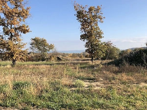 Balatonfüred pince présház