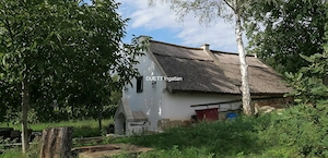 Kajárpécen-Győrtől 20 km-re- lakható pince, présház 3 sor szőlővel eladó