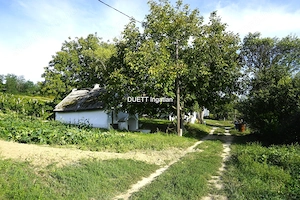 Kajárpécen-Győrtől 20 km-re- lakható pince, présház 3 sor szőlővel eladó - kép 9