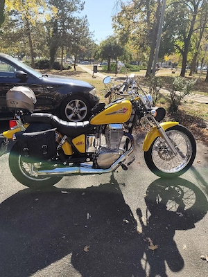 Suzuki Ls-650 Chopper 