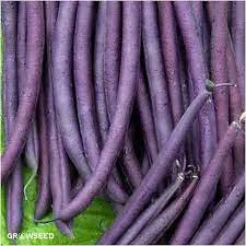 Ceruza lilabab szálkamentes  - kép 3
