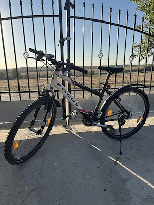 Focus Medusa 26  mountain bike  - kép 2