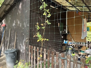 Dunaharaszti Alsóvárosában 1378 nm zárt kerti telek - kép 8