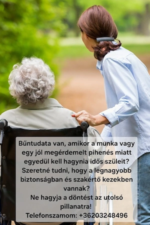 Szakszerűen gondoskodom idős szülőjéről   amíg Ön dolgozik vagy pihen! - kép 3